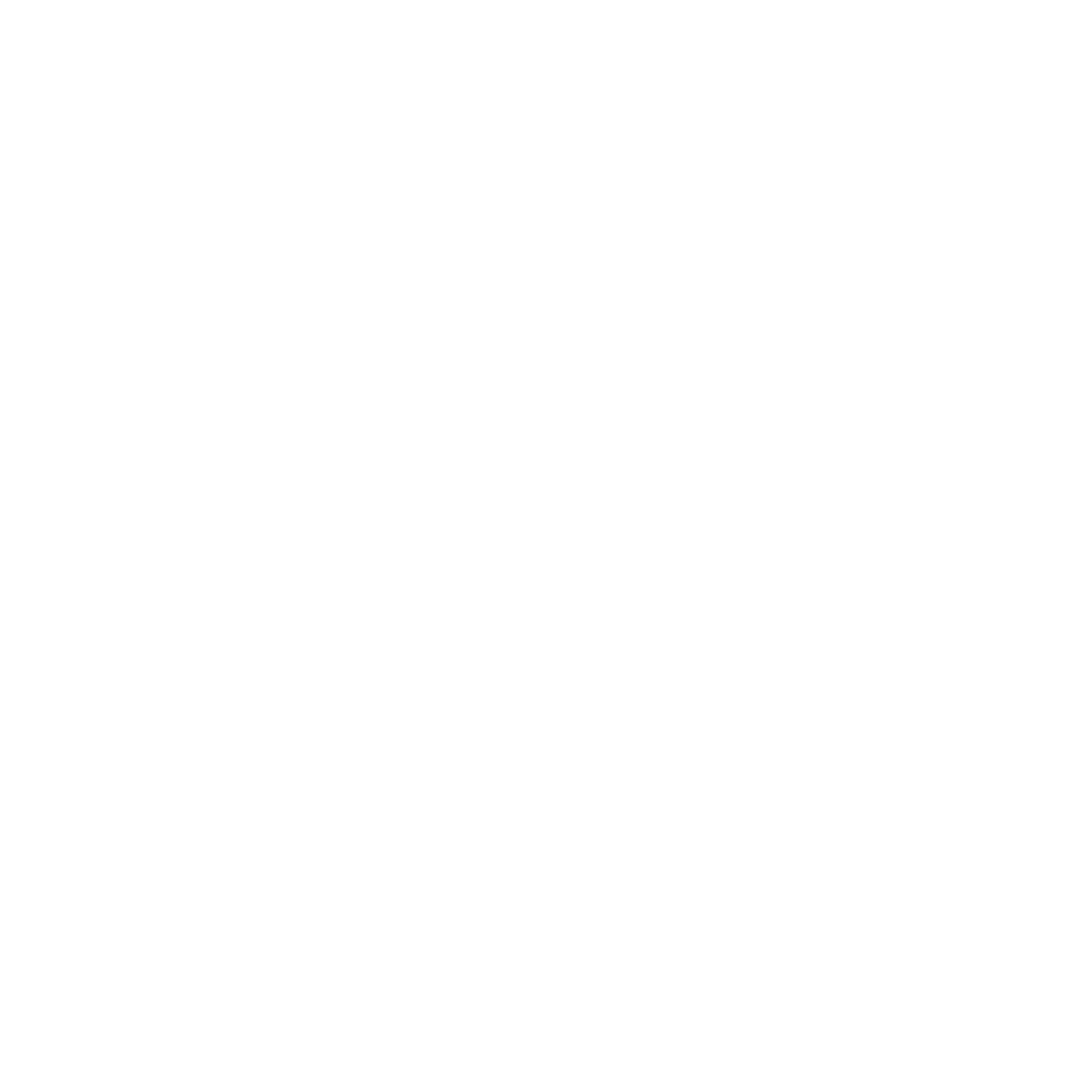 Supernerve Logo